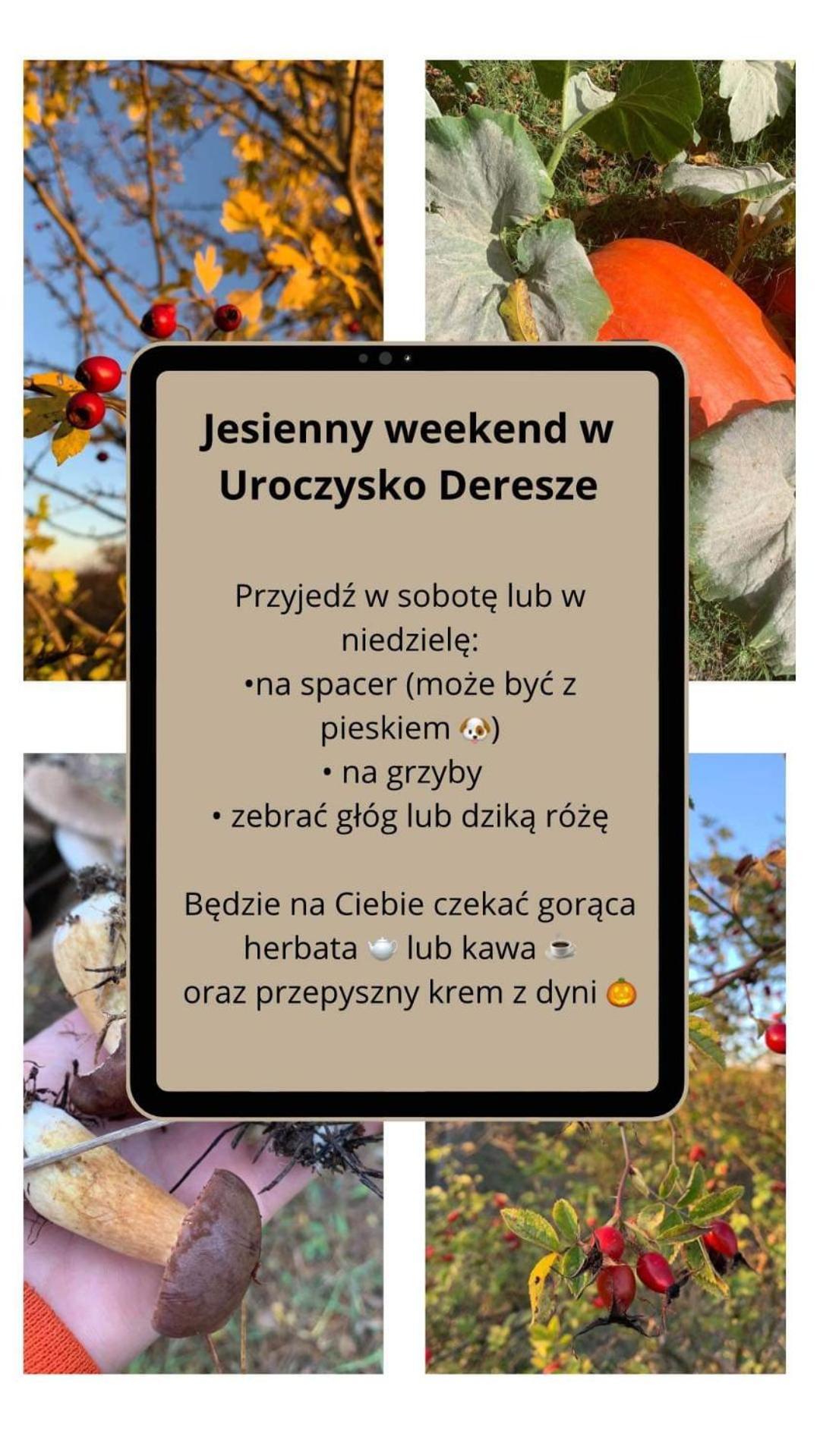 Uroczysko Deresze Villa Giławy Kültér fotó