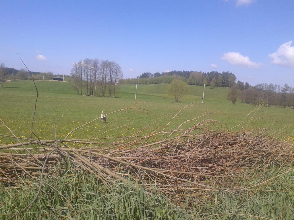 Uroczysko Deresze Villa Giławy Kültér fotó